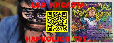 a pvp Бердск