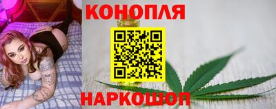 шишки Брянск